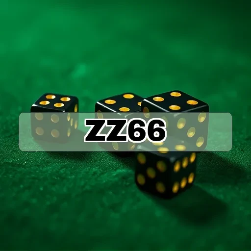 zz66.com Suporte 24/7